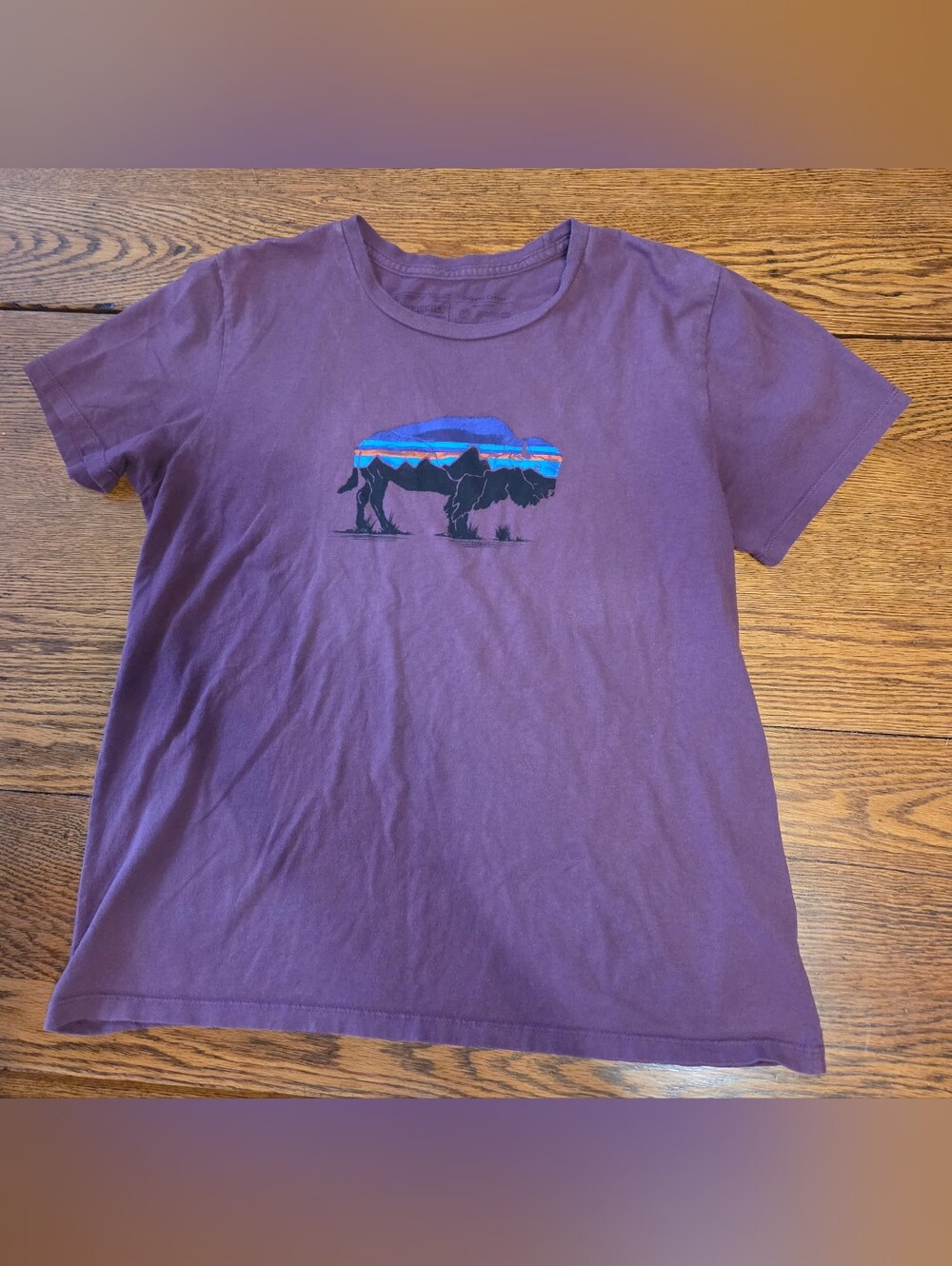 Patagonia Purple Women's Short Sleeve Tee with Buffalo Graphic Size Small